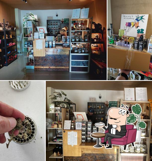 Area42 Dispensary & Cafe