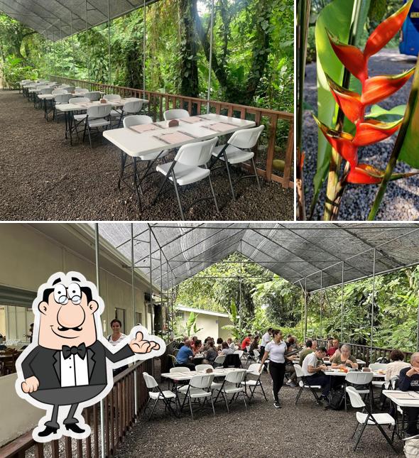 Restaurante Senderos Río Blanco (Privado)
