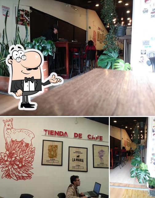 Café La María