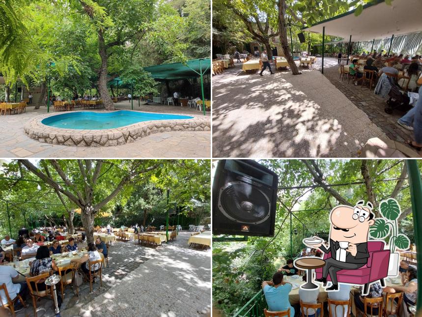 Chaghour Hamana - Restaurant