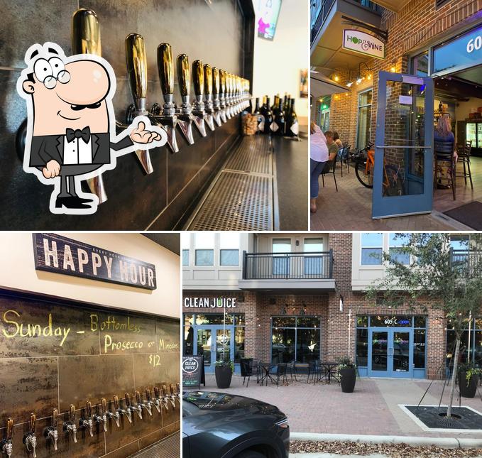 Hop & Vine Davidson