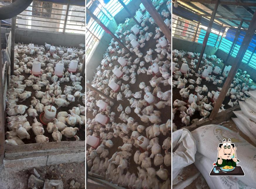 Don's clo Poultry