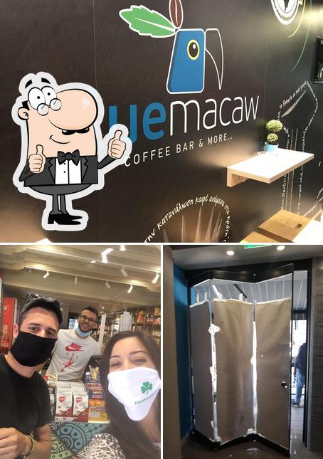 Bluemacaw