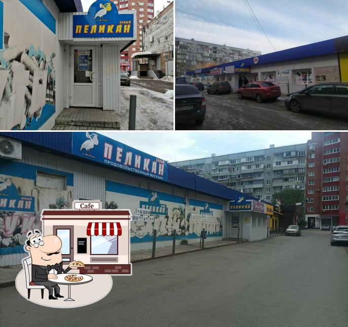 Белый пеликан