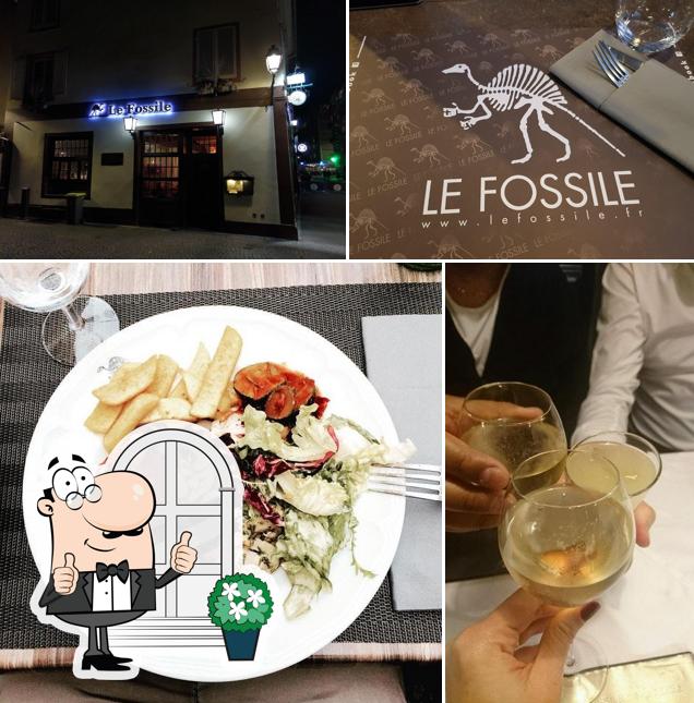 Le Fossile