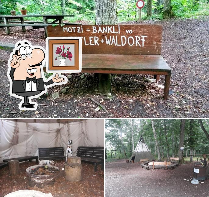 Waldwirtschaft Schlossranden