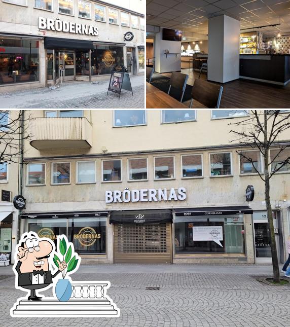 Brödernas