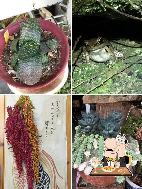 橋涮涮鍋（養生小火鍋）