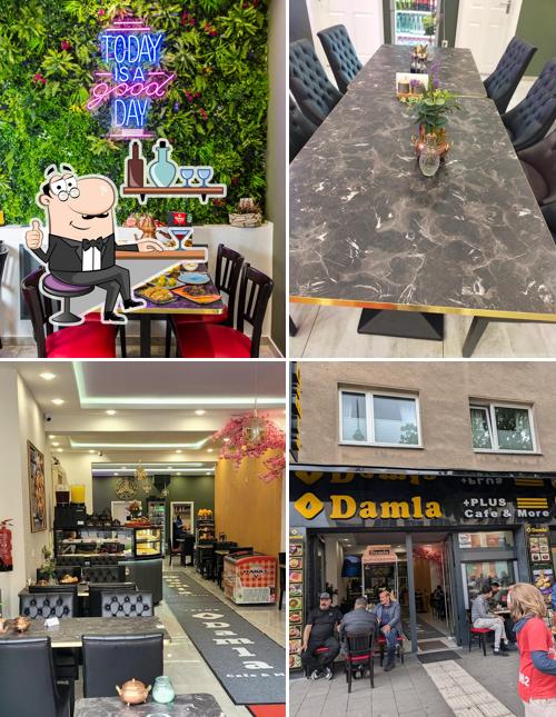 Damla +Plus