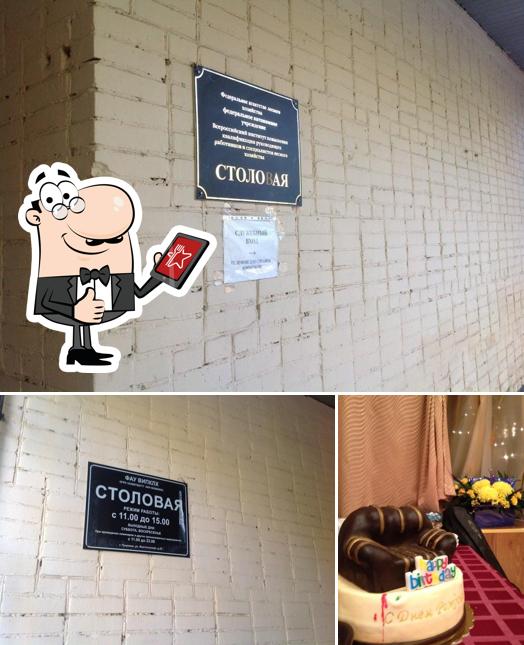 Подмосковные Вечера
