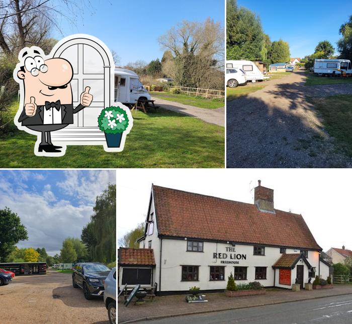 The Red Lion