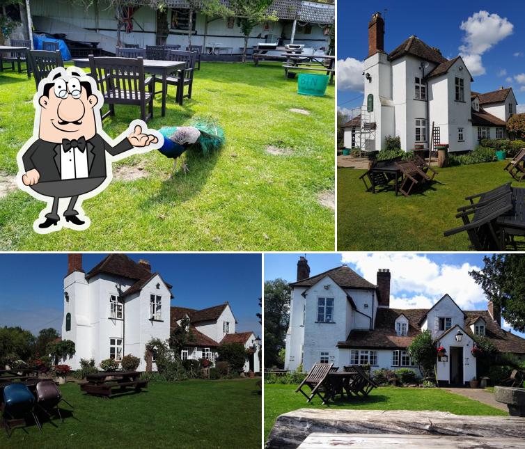 The Camp House Inn