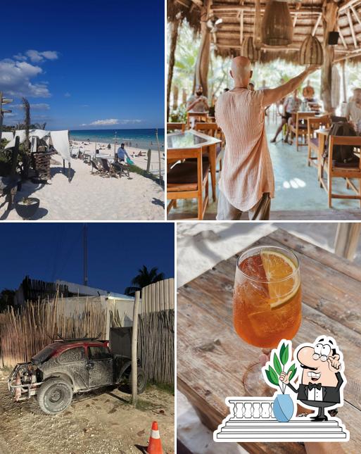Cleo Tulum