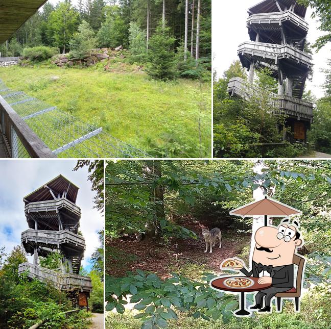 Wilderness House