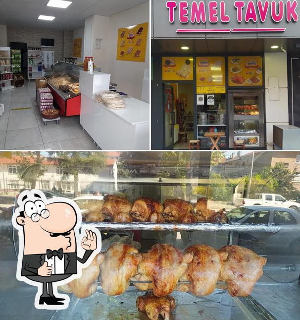 TEMEL TAVUK