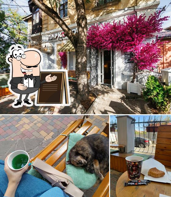 Это фото, где изображены внешнее оформление и напитки в Парк кофе