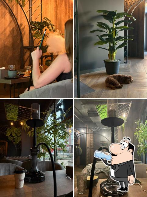 Puff lounge