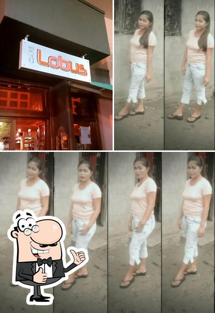 Lobus