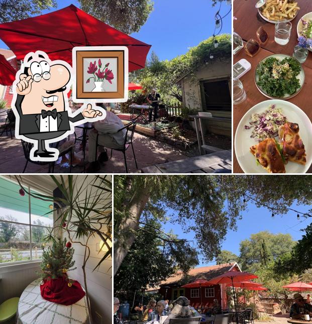 The Wild Poppy Cafe