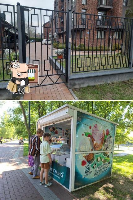 33 Пингвина