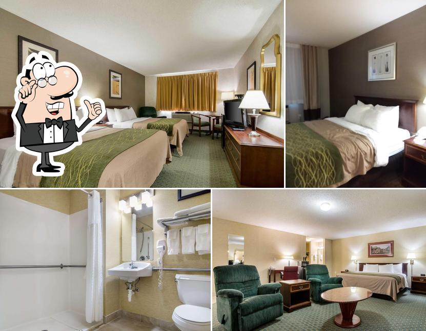 Quality Inn