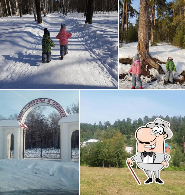 Кафе у парка