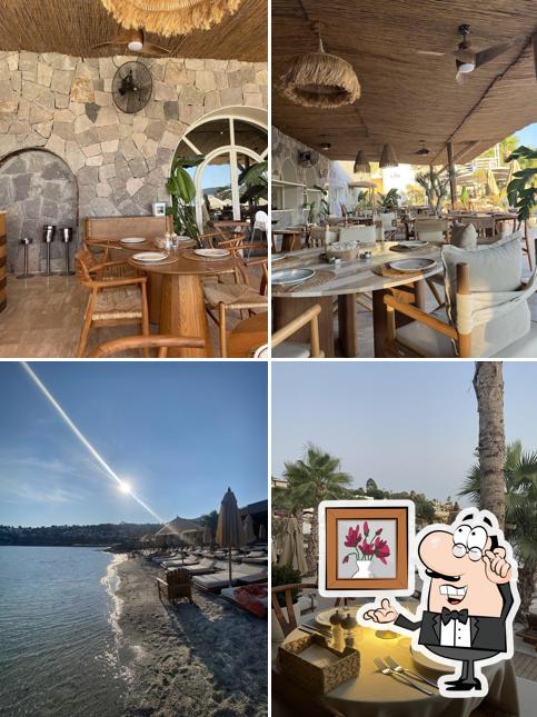 Coze Bodrum