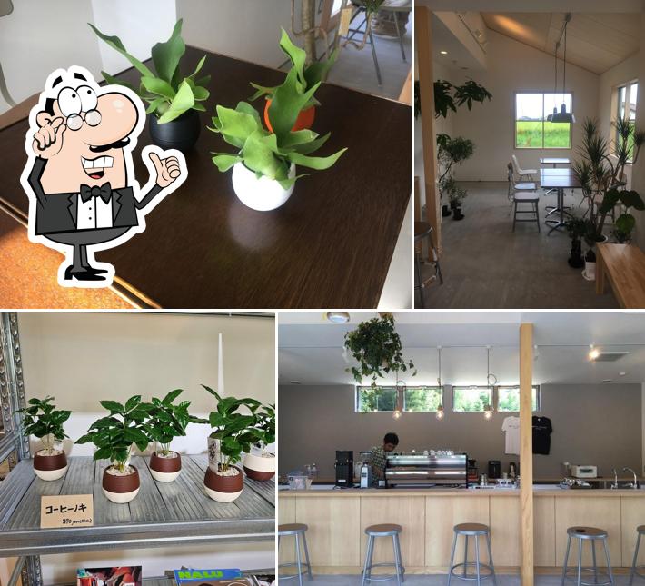 COFFEE AND PLANTS