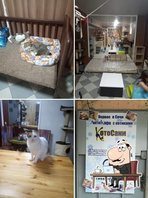 Антикафе "КотоСани"