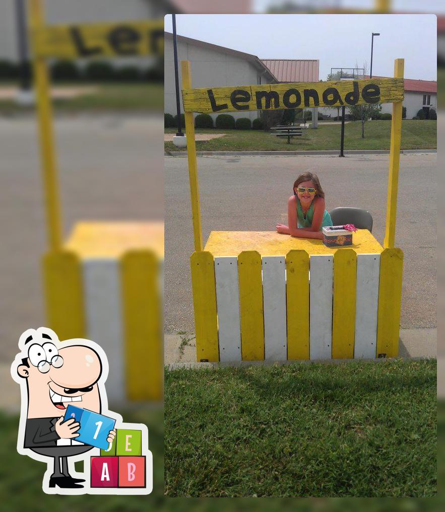 Elaina's Lemonade Stand