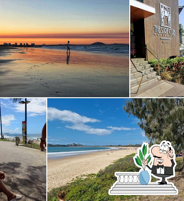 The Surf Club Mooloolaba