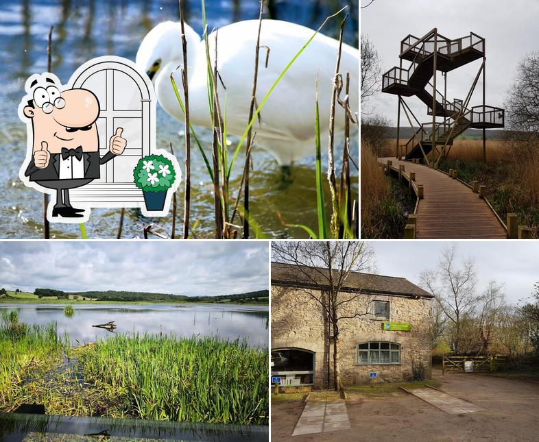 RSPB Leighton Moss