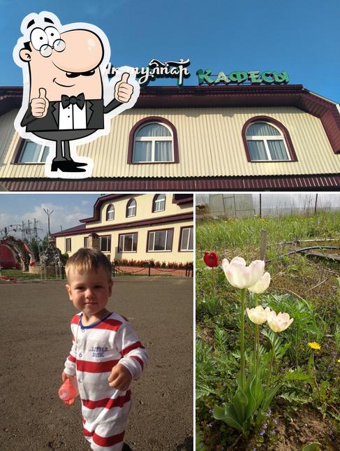 Это изображение кафе "Тулпар"