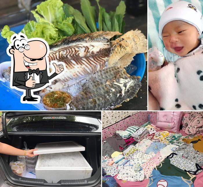 เเพปู. น้องปูม้า