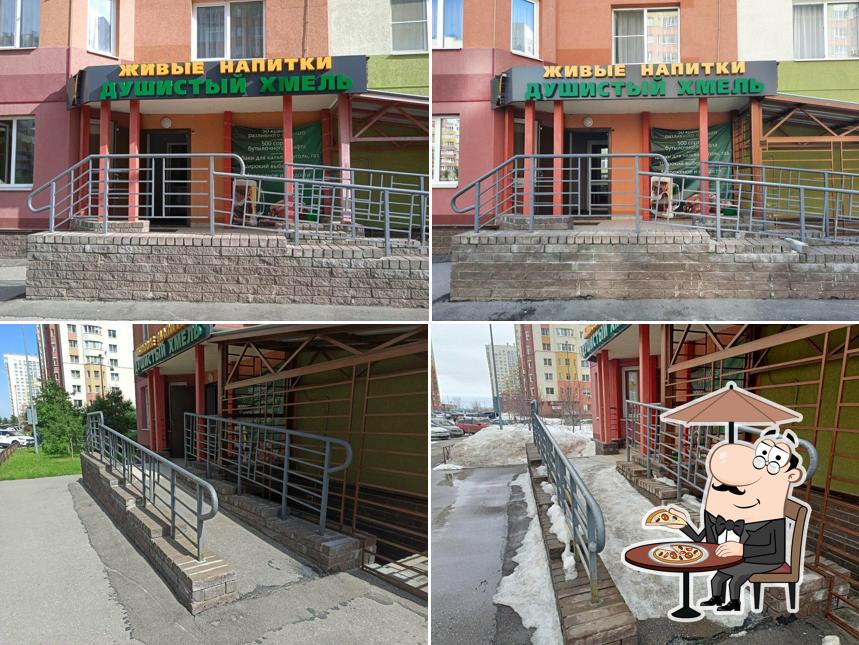 Душистый хмель