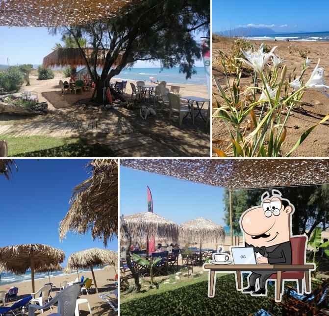 Η Ακτή