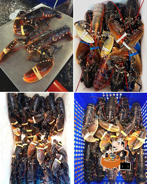 Aqualine Seafoods LTD