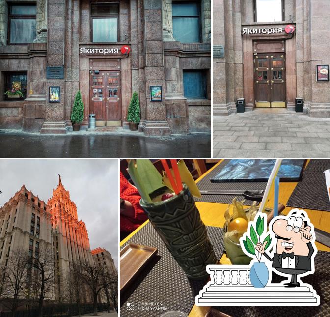 Внешнее оформление "ЯКИТОРИИ"