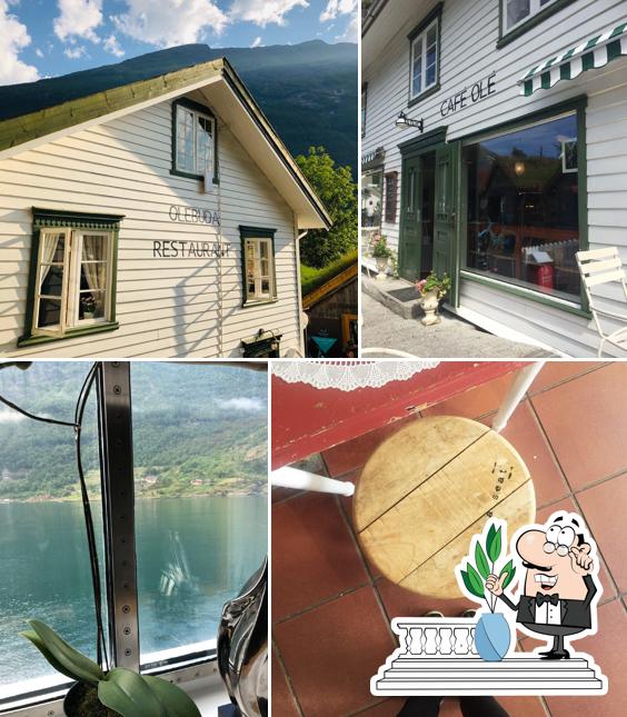 Cafè Ole - OleBuda