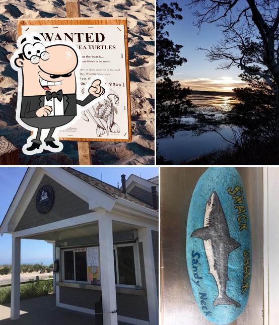 Sandy Neck Snack Shack