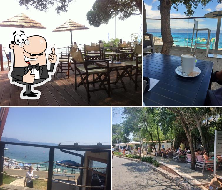 Tropic bar