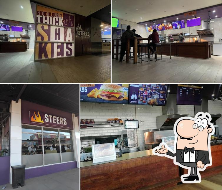 Steers
