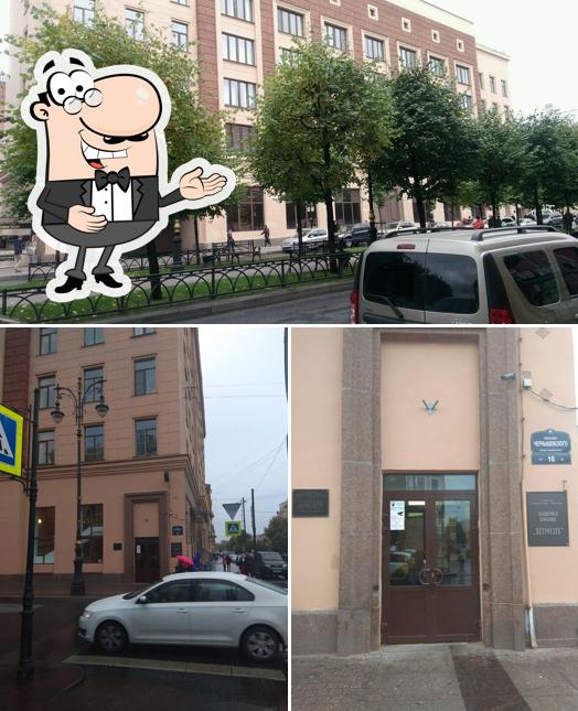 Арнаут