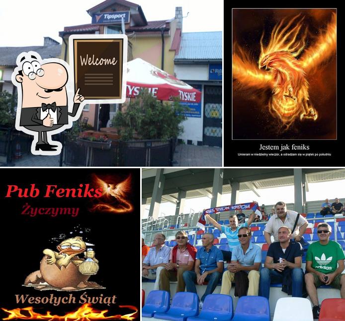 Feniks. Pub