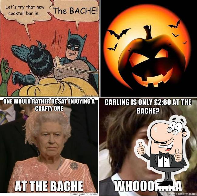 Bache Arms