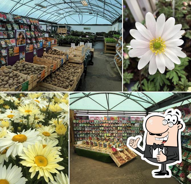 New Leaf Plant Centre