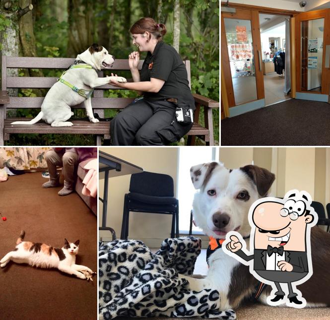 Oak Tree Animals' Charity