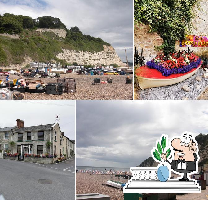 Chapples Beach Cafe