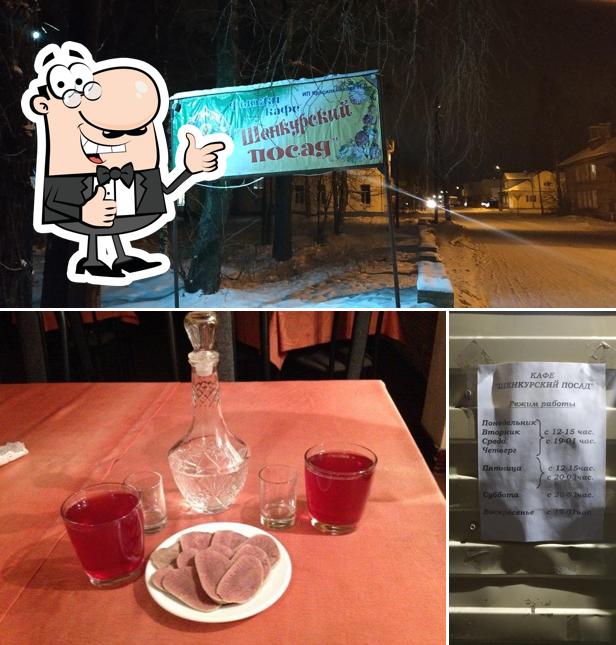 Шенкурский посад