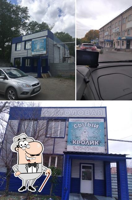 Сытый кролик